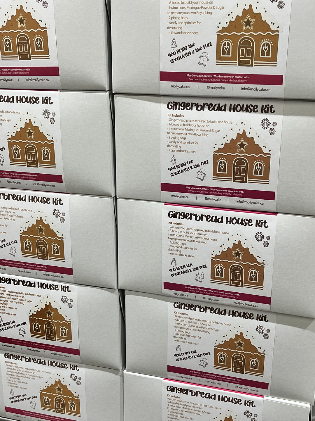 Kit: Gingerbread House