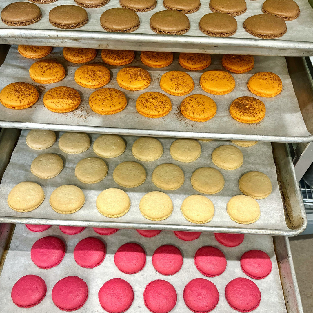 MACARON: Holiday  Special